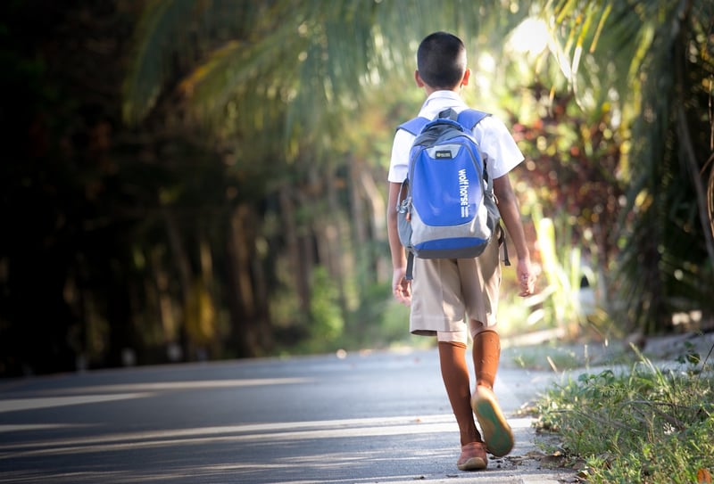 Learning Journeys